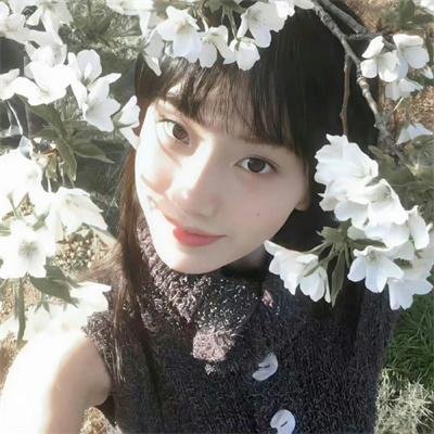 执着的追踪